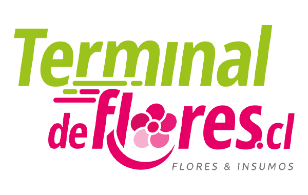 TERMINAL DE FLORES LOGO