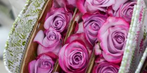 BANNER.jpg-movil