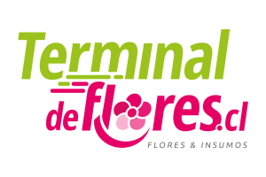 TERMINAL DE FLORES LOGO